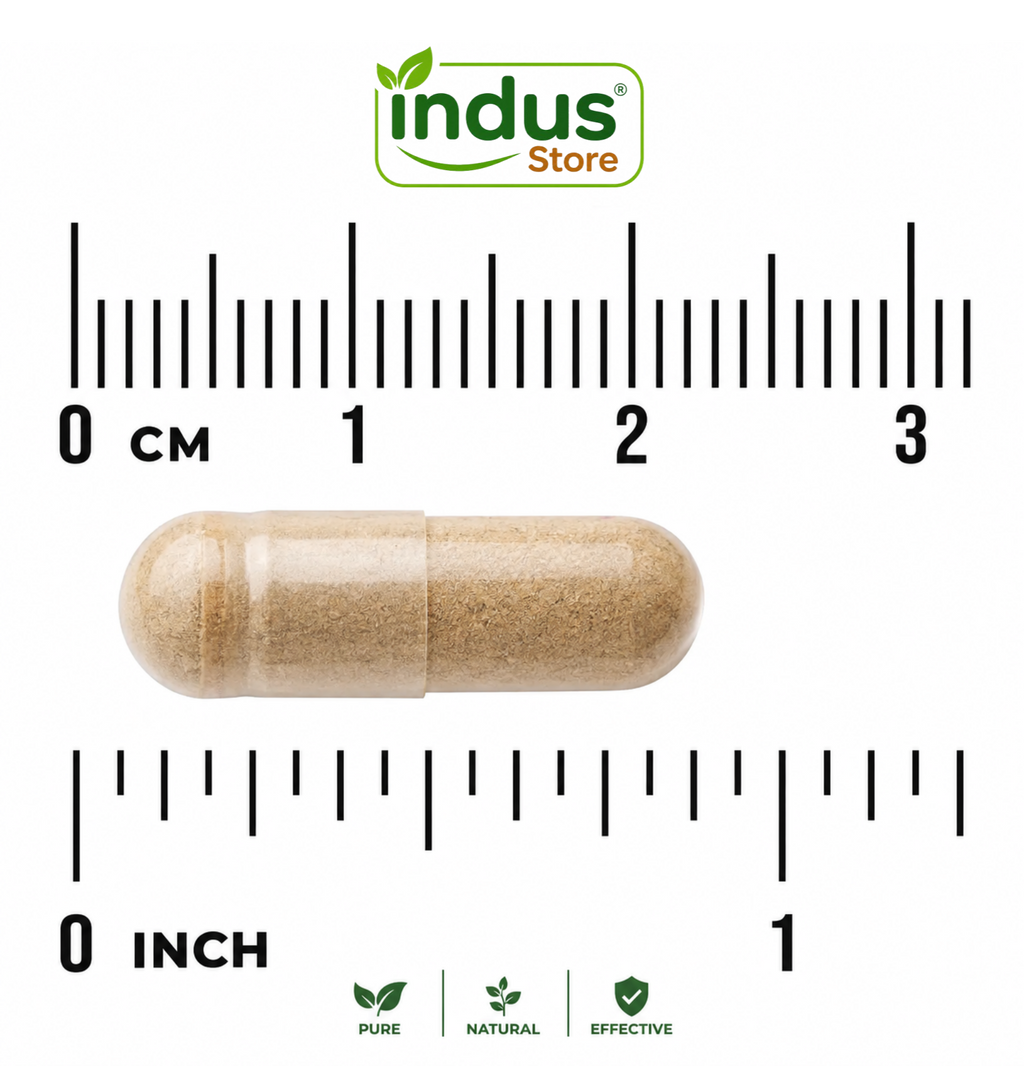 Arjuna Bark Extract, 500 mg, 100 capsules