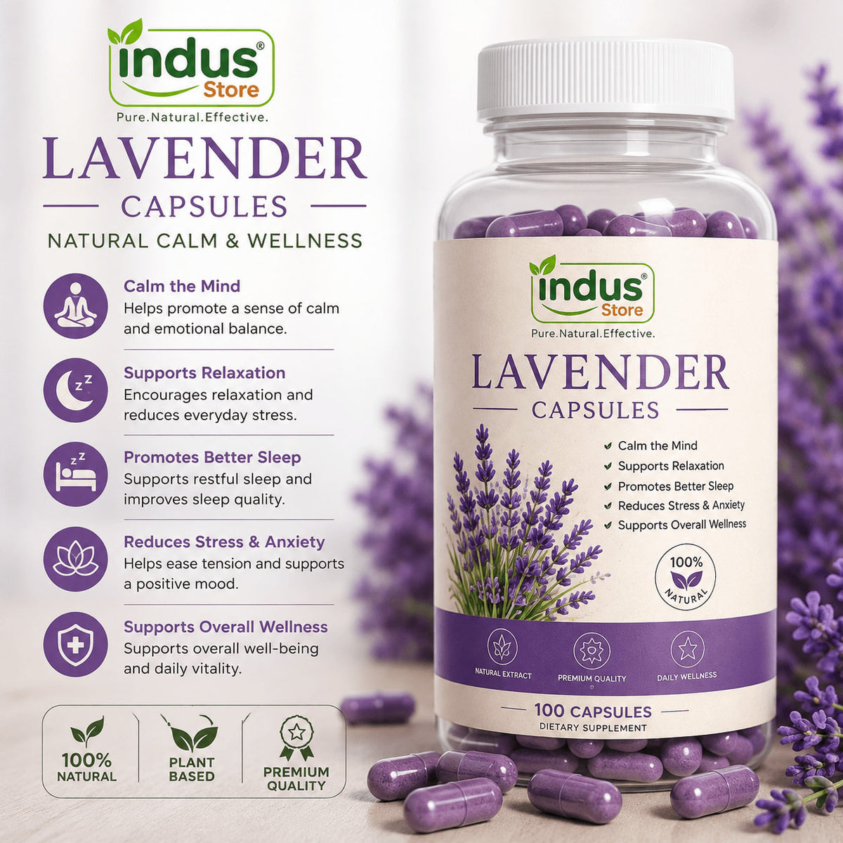 Lavender – Natural Calm & Wellness